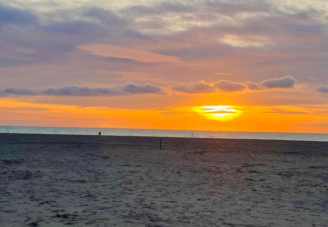 Appartamento a Castiglione della Pescaia - Appartamento Le Cannucce al mare di Castiglione Appartamento a Castiglione della Pescaia - Appartamento Le Cannucce al mare di Castiglione