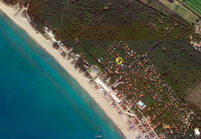 Appartamento a Marina di Grosseto - Appartamento Rosmarina 300 metri dal mare Appartamento a Marina di Grosseto - Appartamento Rosmarina 300 metri dal mare