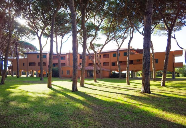 Appartamento a Albinia - Appartamento La Ginestra sulla Spiaggia Appartamento a Albinia - Appartamento La Ginestra sulla Spiaggia