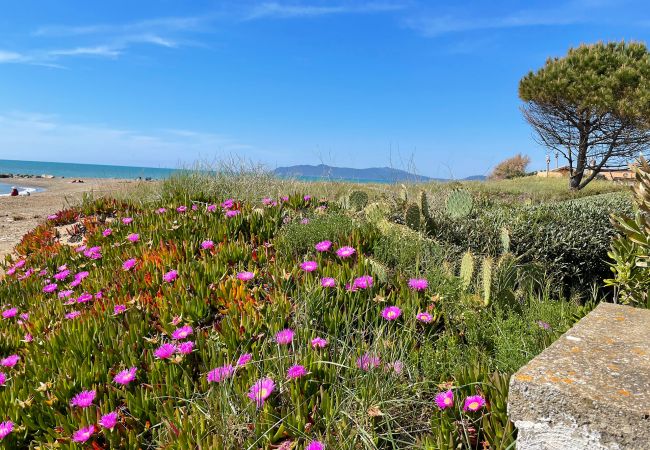 Appartamento a Albinia - Appartamento La Ginestra sulla Spiaggia Appartamento a Albinia - Appartamento La Ginestra sulla Spiaggia