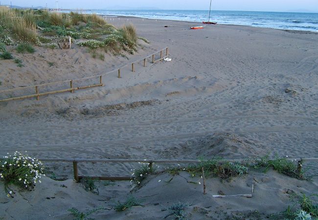 Appartamento a Marina di Grosseto - Appartamento Giannutri vicino al mare Appartamento a Marina di Grosseto - Appartamento Giannutri vicino al mare