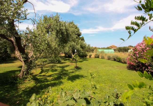 Villetta a Rispescia - Casa Allegra nel Parco della Maremma Villetta a Rispescia - Casa Allegra nel Parco della Maremma
