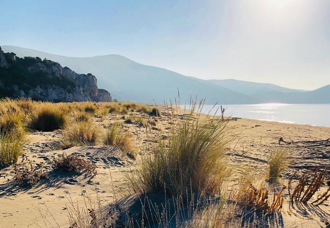 Villetta a Rispescia - Casa Allegra nel Parco della Maremma Villetta a Rispescia - Casa Allegra nel Parco della Maremma