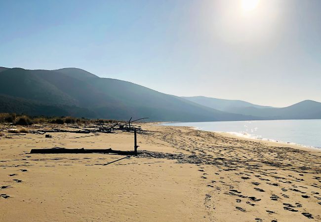 Villetta a Rispescia - Villino L'Ulivo Rispescia nel Parco della Maremma Villetta a Rispescia - Villino L'Ulivo Rispescia nel Parco della Maremma