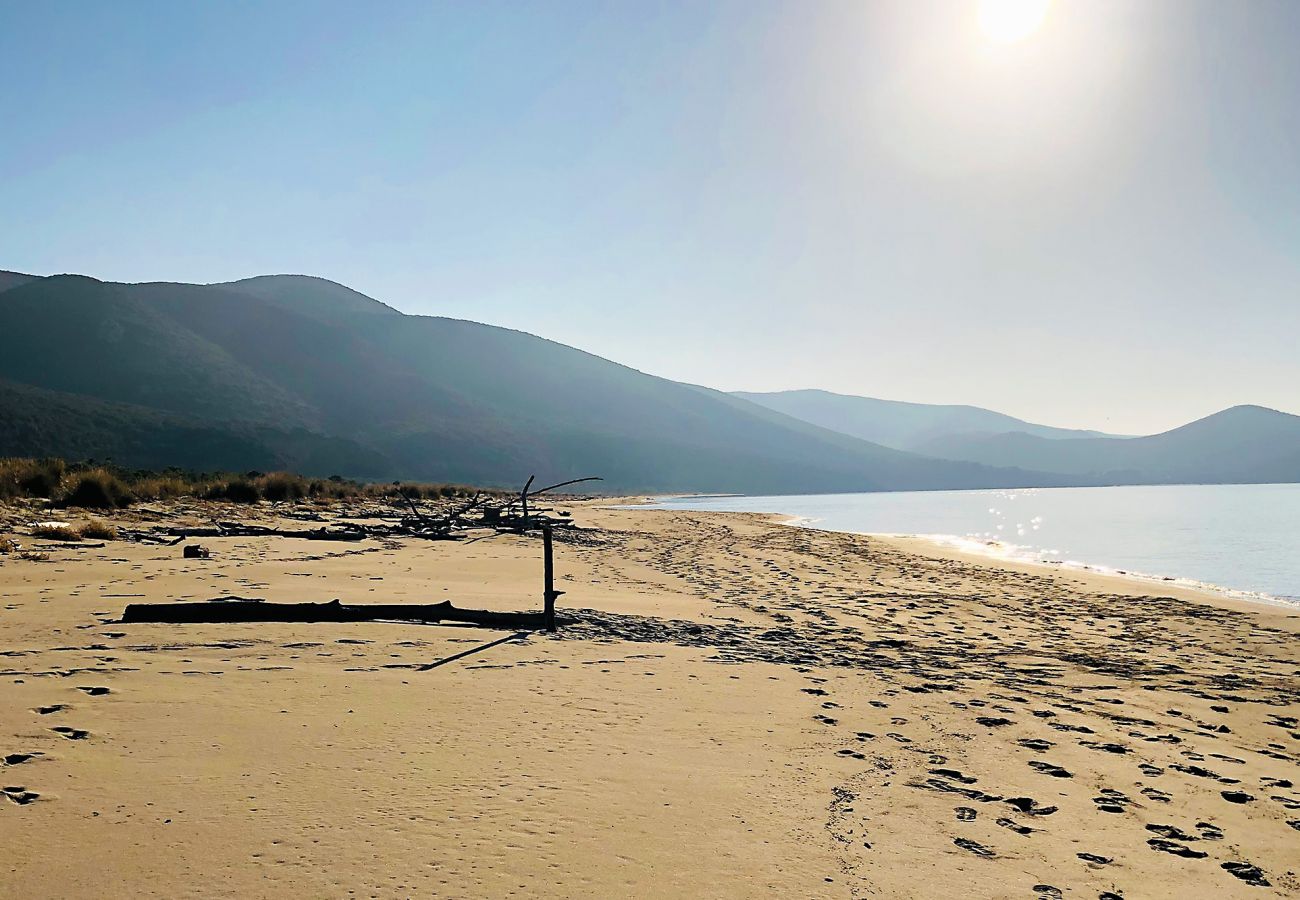 Villetta a Rispescia - Villino L'Ulivo Rispescia