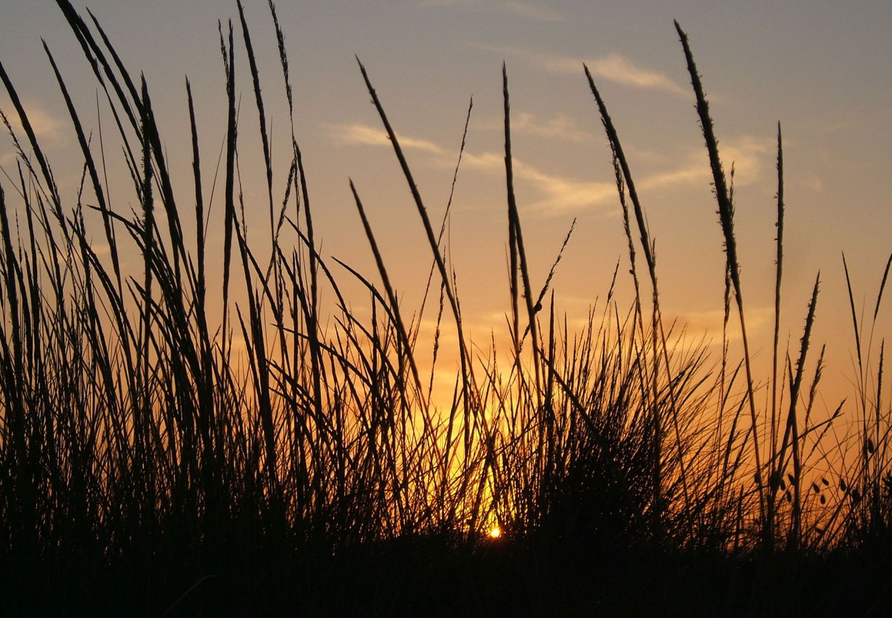 Villetta a Rispescia - Villino L'Ulivo Rispescia nel Parco della Maremma
