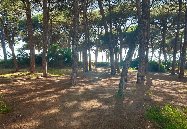Appartamento a Follonica - Appartamento Follonica 87 Appartamento a Follonica - Appartamento Follonica 87