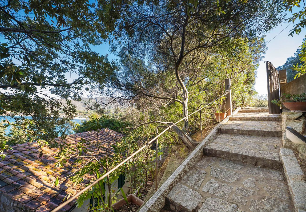 Villa a Procchio - Villa Lo Scoglio - Isola d'Elba