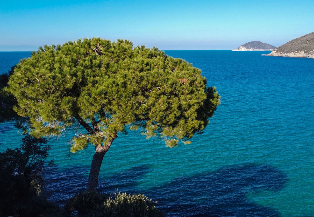 Villa a Procchio - Villa Lo Scoglio - Isola d'Elba