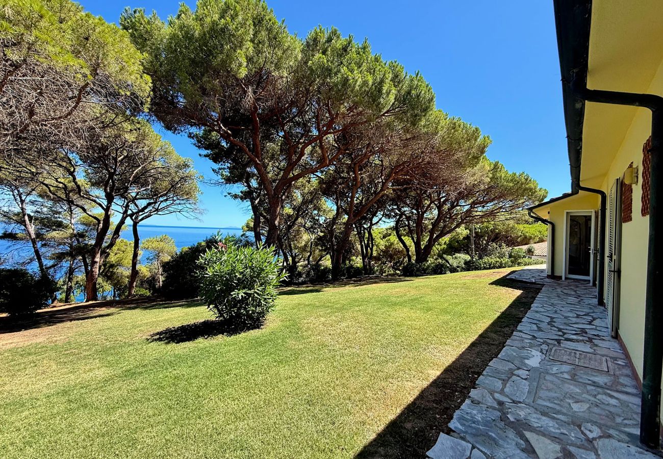 Villa a Porto Azzurro - Villa Star Isola d'Elba