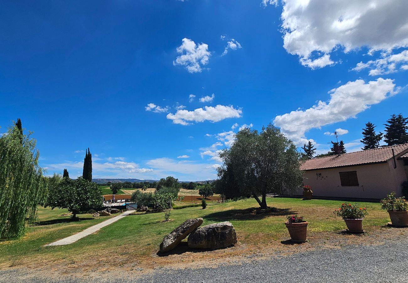Appartamento a Scansano - Appartamento Roggiano, natura toscana con piscina