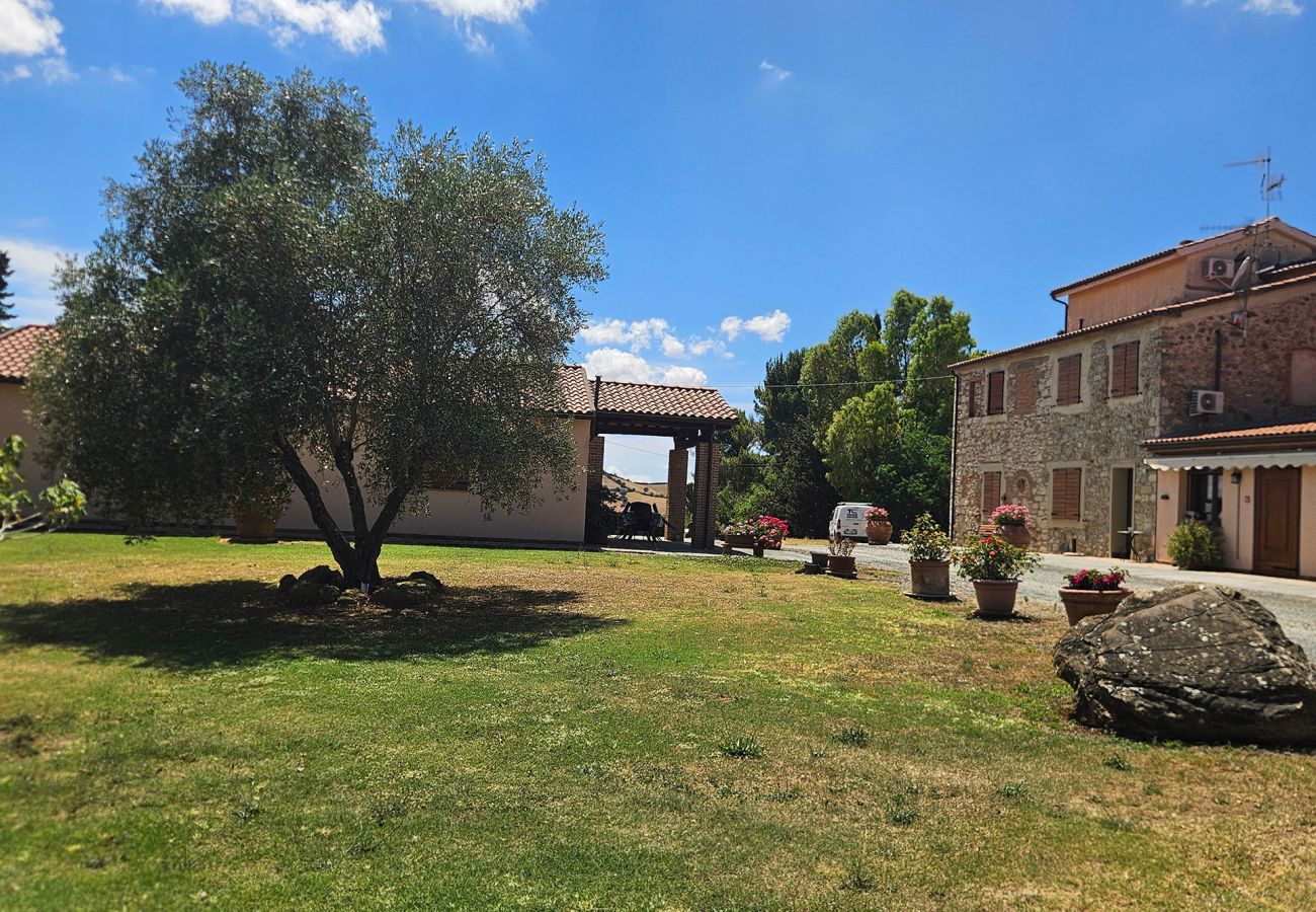Appartamento a Scansano - Appartamento Sicomoro, piscina e campagna