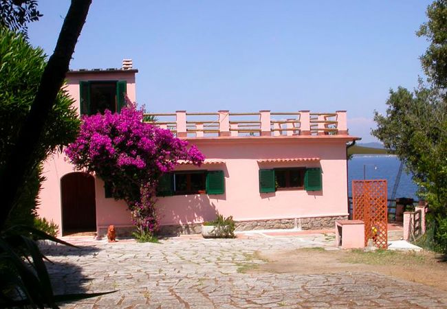 Villa in Marciana Marina - Casa Rosa di Redinoce Isola d'Elba Villa in Marciana Marina - Casa Rosa di Redinoce Isola d'Elba