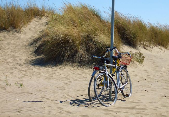 Beach of Marina di Grosseto