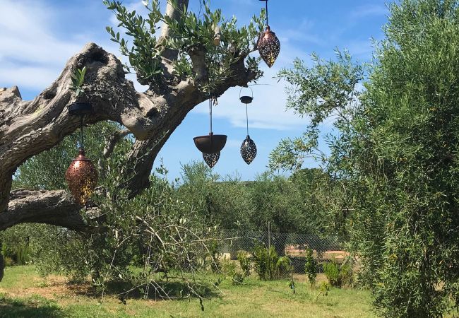 Villa in Bibbona - Villa Bibbona con piscina Villa in Bibbona - Villa Bibbona con piscina