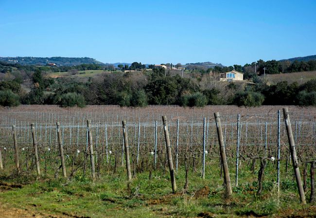 Villa in Bibbona - Villa Bibbona con piscina Villa in Bibbona - Villa Bibbona con piscina