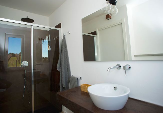 Villa in Bibbona - Villa Bibbona con piscina Villa in Bibbona - Villa Bibbona con piscina