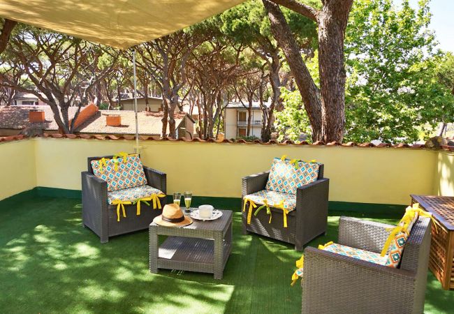 Marina di Grosseto - Lavanda Apartment - The roof terrace