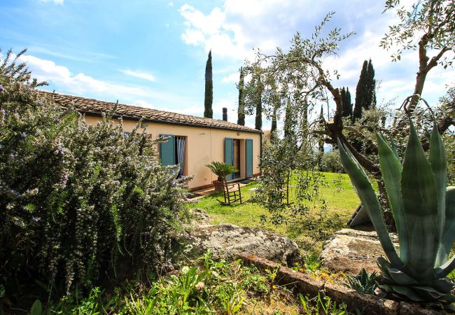 House in Roccatederighi - Casale Vezzoli con piscina House in Roccatederighi - Casale Vezzoli con piscina