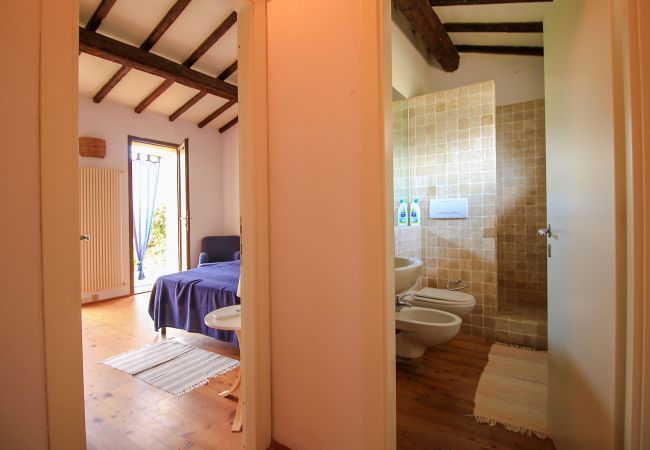 House in Roccatederighi - Casale Vezzoli con piscina House in Roccatederighi - Casale Vezzoli con piscina