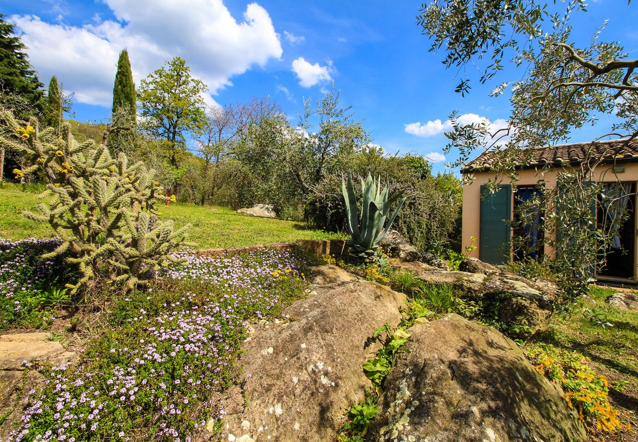 House in Roccatederighi - Casale Vezzoli