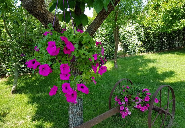 House in Alberese - Casale Rovereto nel Parco della Maremma House in Alberese - Casale Rovereto nel Parco della Maremma