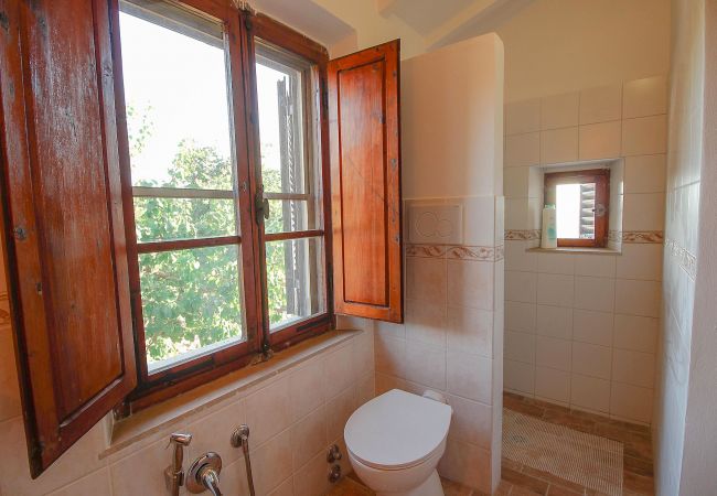 House in Scansano - Casa Barbara con vista panoramica House in Scansano - Casa Barbara con vista panoramica