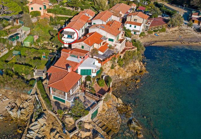 Apartment in Portoferraio - Appartamento Terrazza Isola d'Elba Apartment in Portoferraio - Appartamento Terrazza Isola d'Elba