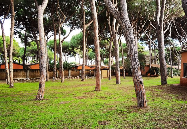 Garden of the Germoglio apartment - by the sea in Tuscany 