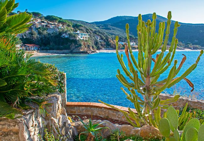 Villa in Portoferraio - The Boat Isola d'Elba Villa in Portoferraio - The Boat Isola d'Elba