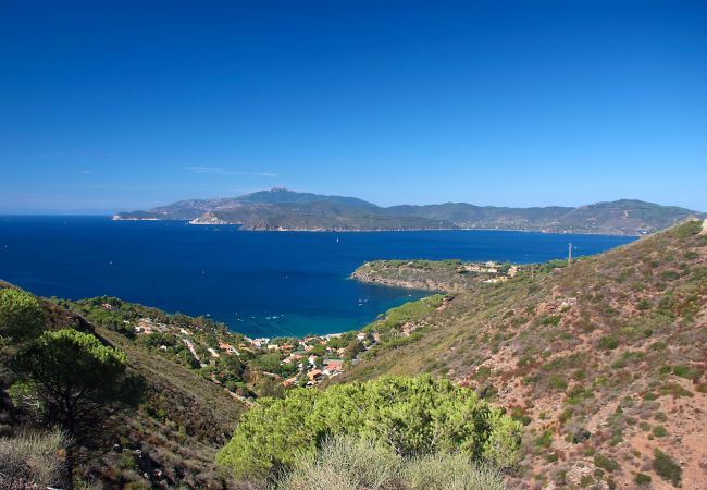 Chalet in Capoliveri - Villetta Le Pitte - Isola d'Elba Chalet in Capoliveri - Villetta Le Pitte - Isola d'Elba