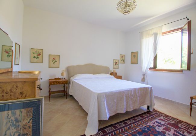 Chalet in Rispescia - Casa Allegra nel Parco della Maremma Chalet in Rispescia - Casa Allegra nel Parco della Maremma