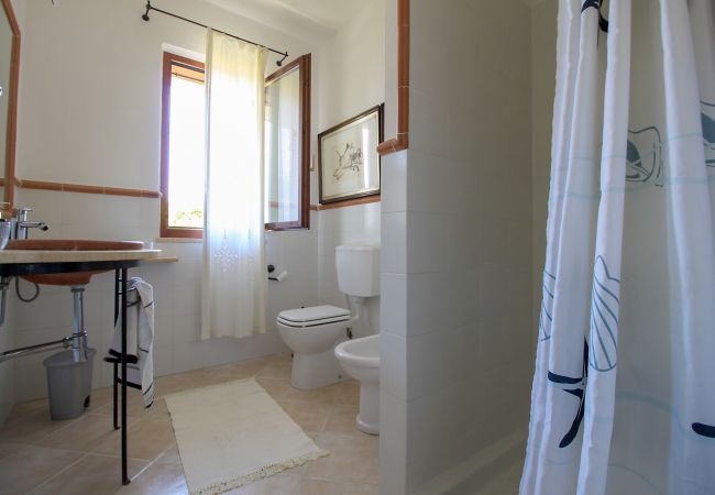 Chalet in Rispescia - Casa Allegra nel Parco della Maremma Chalet in Rispescia - Casa Allegra nel Parco della Maremma