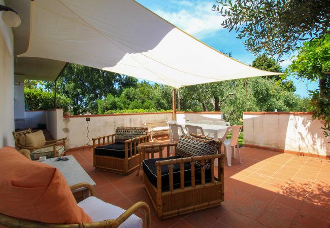 Chalet in Rispescia - Casa Allegra nel Parco della Maremma Chalet in Rispescia - Casa Allegra nel Parco della Maremma