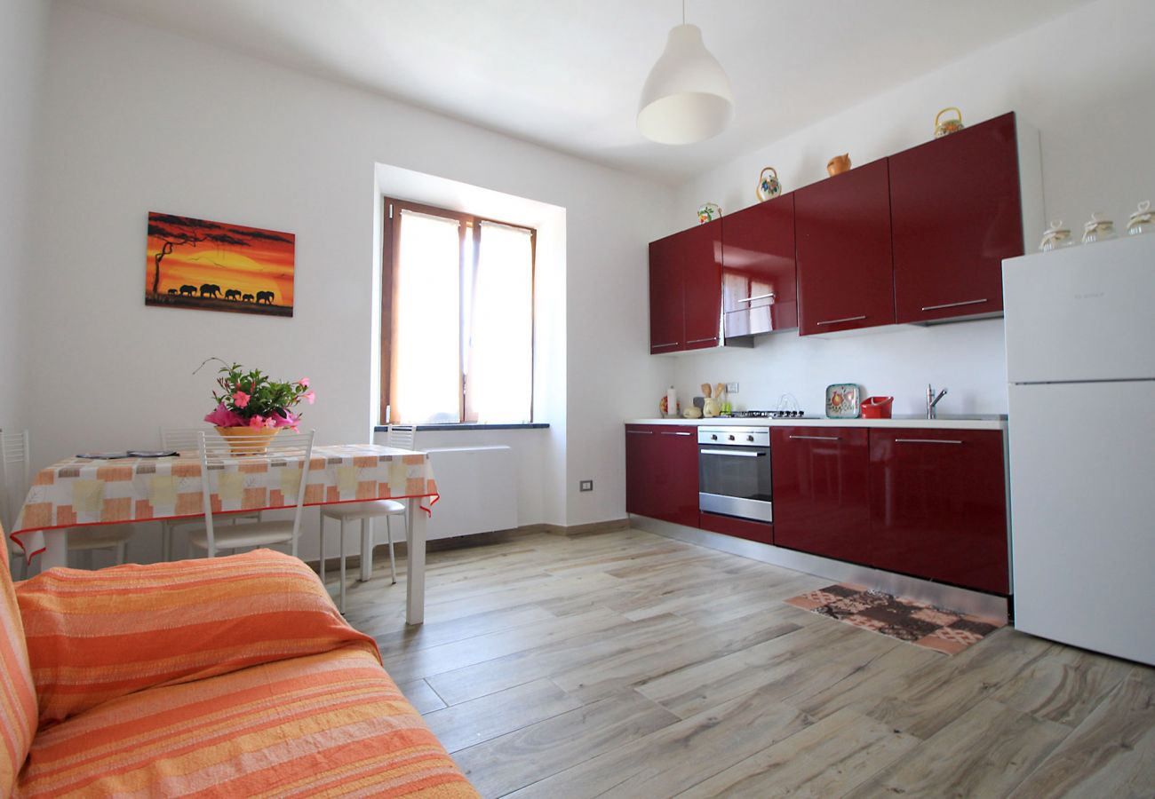 Apartment in Marina di Grosseto - Appartamento Il Salice