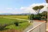 Apartment in Marina di Grosseto - Appartamento Il Giuggiolo con bella piscina Apartment in Marina di Grosseto - Appartamento Il Giuggiolo con bella piscina