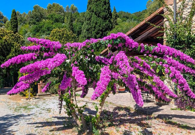 Villa in Suvereto - Villa Poggio al Coniglio a Suvereto con piscina Villa in Suvereto - Villa Poggio al Coniglio a Suvereto con piscina
