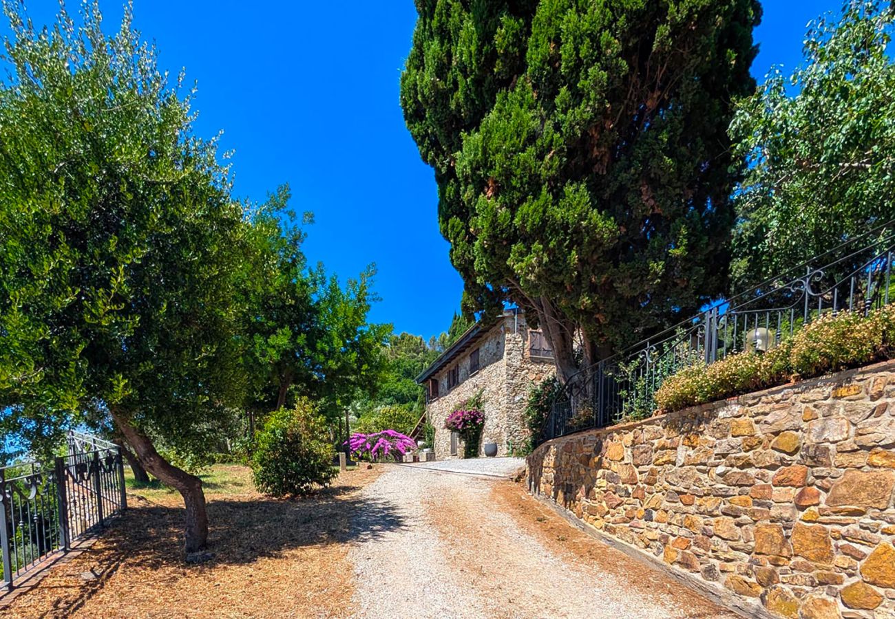 Villa in Suvereto - Villa Poggio al Coniglio