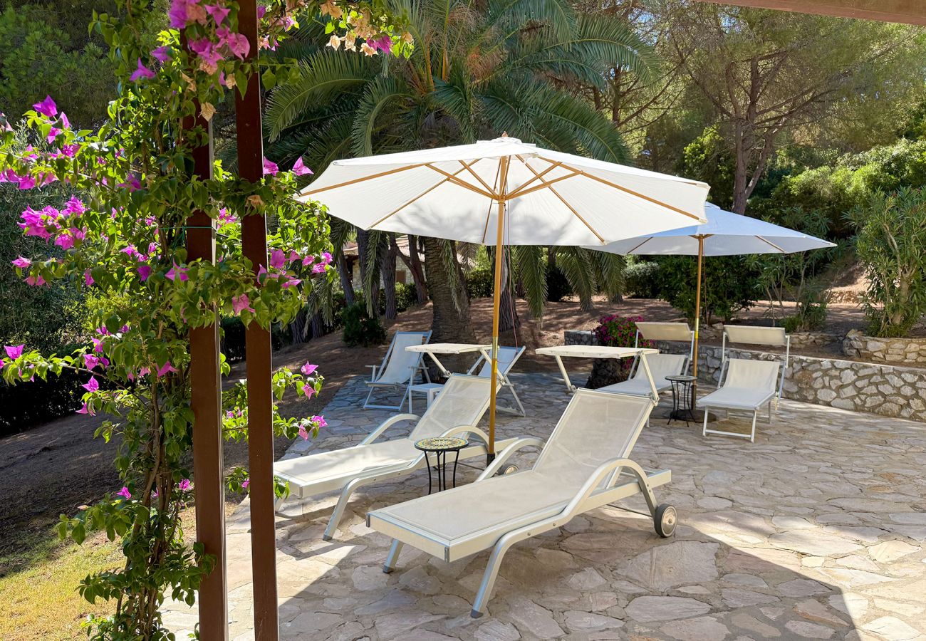 Villa in Porto Azzurro - Villa Star Isola d'Elba