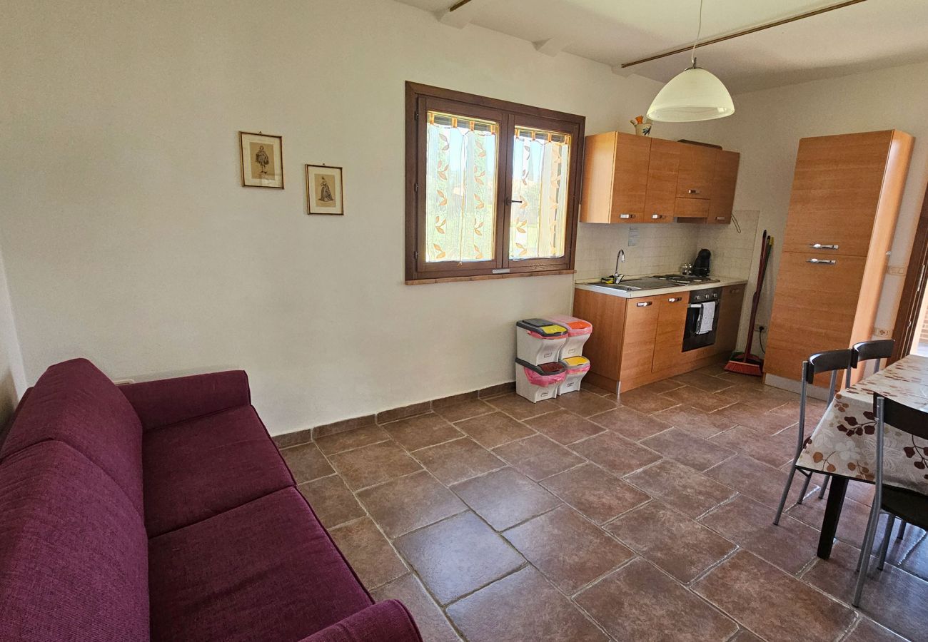 Apartment in Scansano - Apartment Roggiano Tuscan countryside with pool