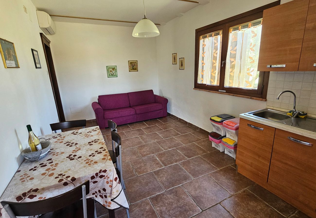 Apartment in Scansano - Apartment Roggiano Tuscan countryside with pool