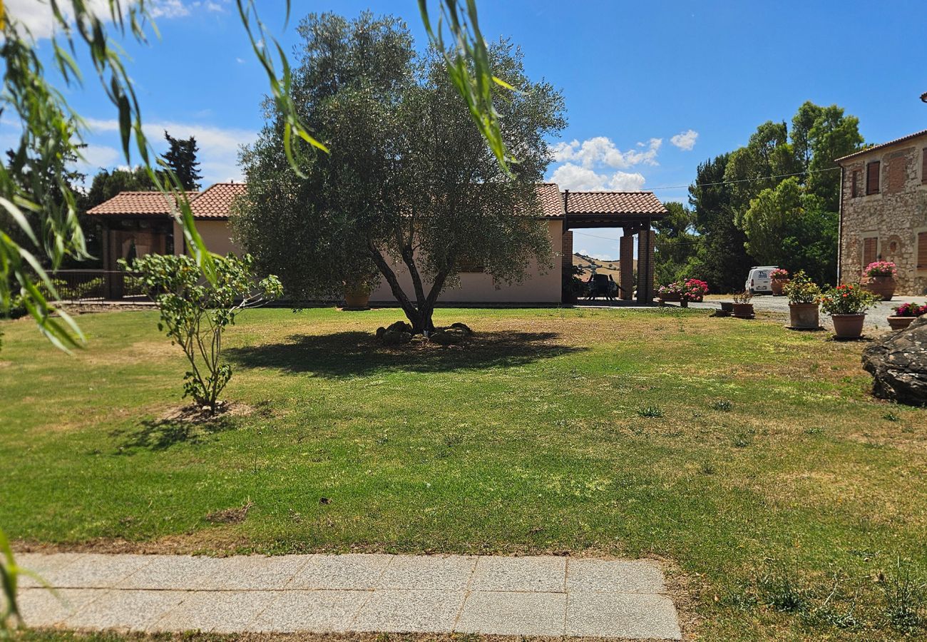 Apartment in Scansano - Apartment Roggiano Tuscan countryside with pool