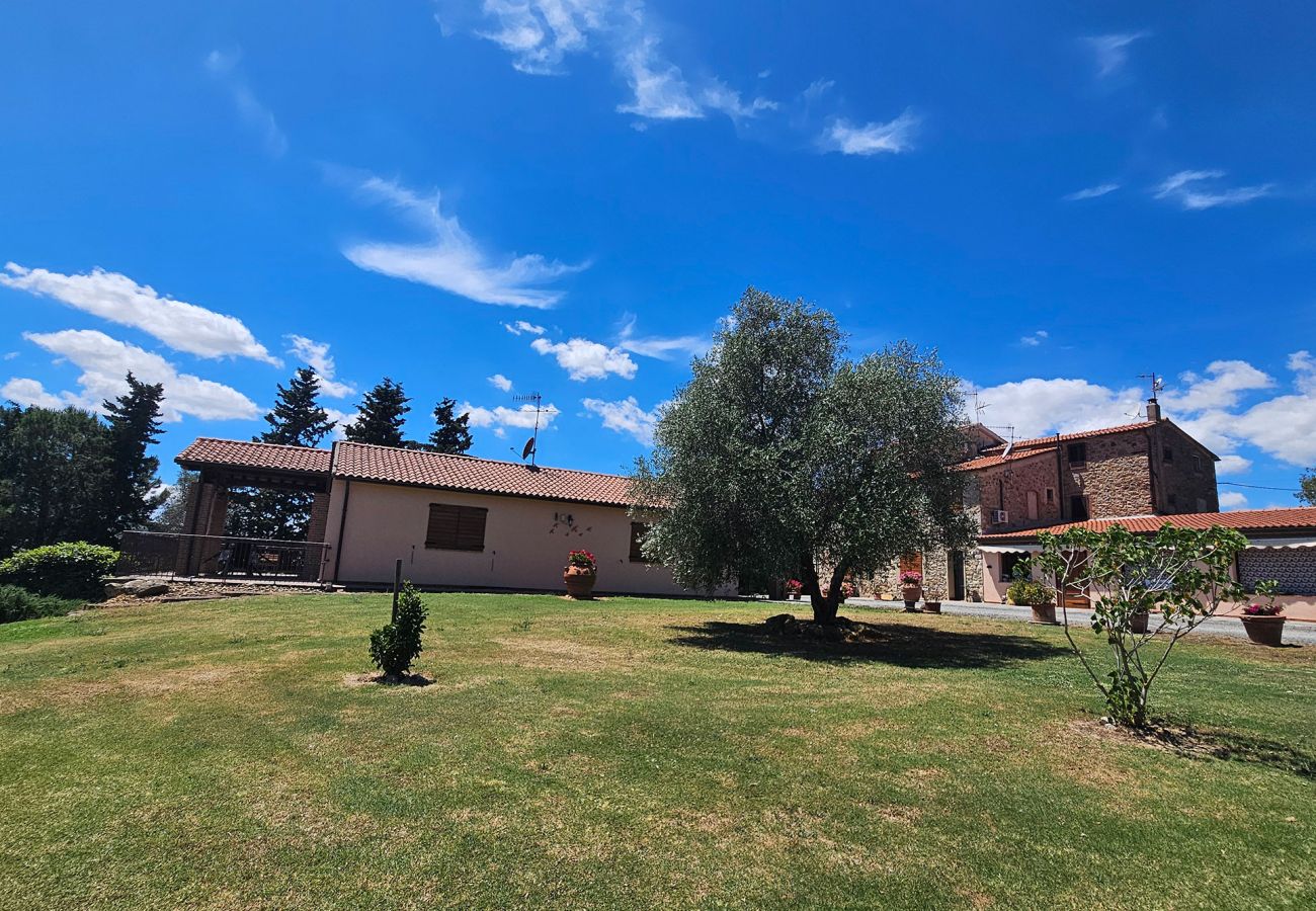 Apartment in Scansano - Apartment Sicomoro, pool and countryside